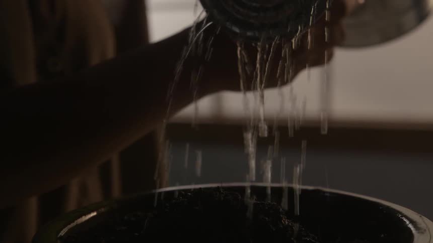 A woman waters a pot of soil