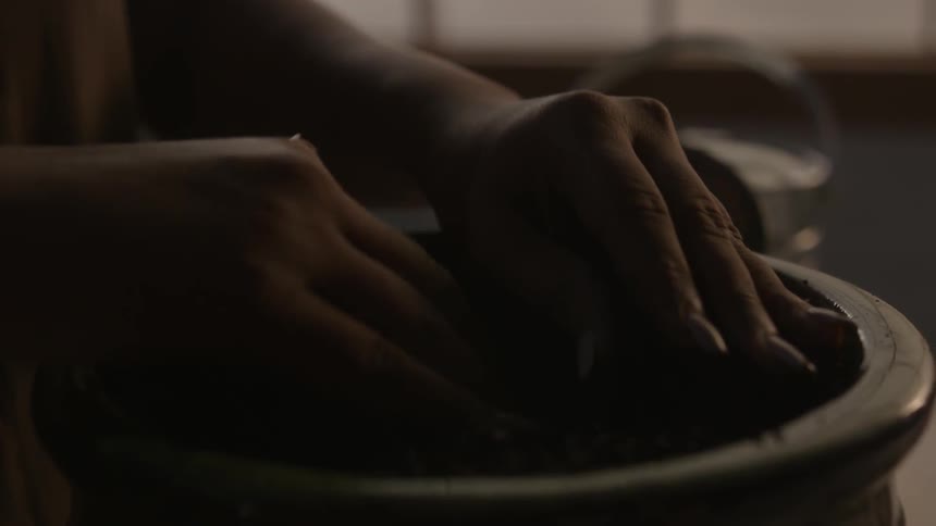 A person moves their fingers in the dirt