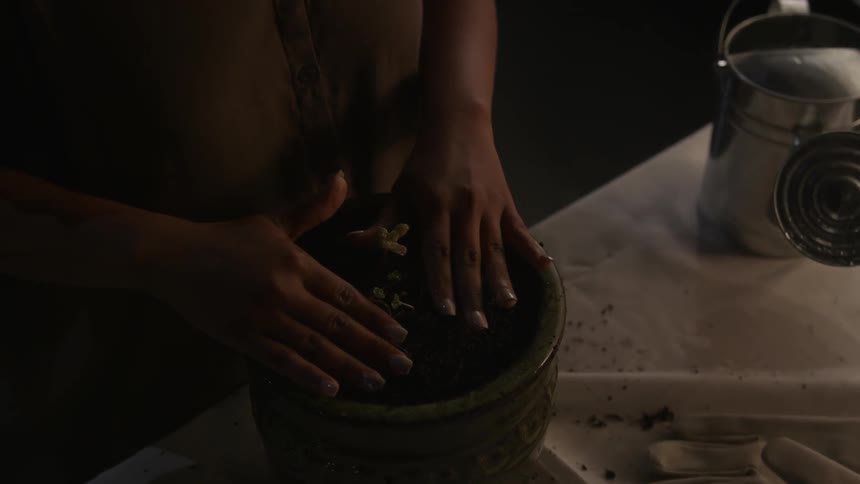 A woman is planting in a pot