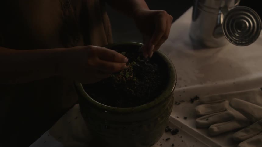 A woman presses dirt into a potted plant