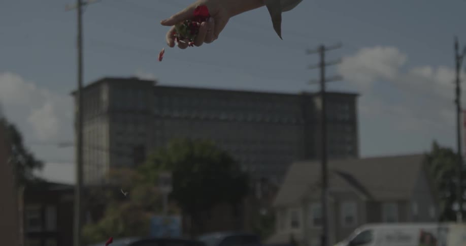 Hand sprinkles flower petals to the ground with buildings in the background
