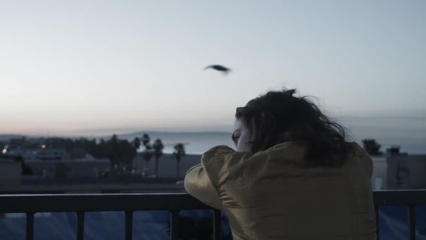 Woman leans on a railing overlooking houses and water