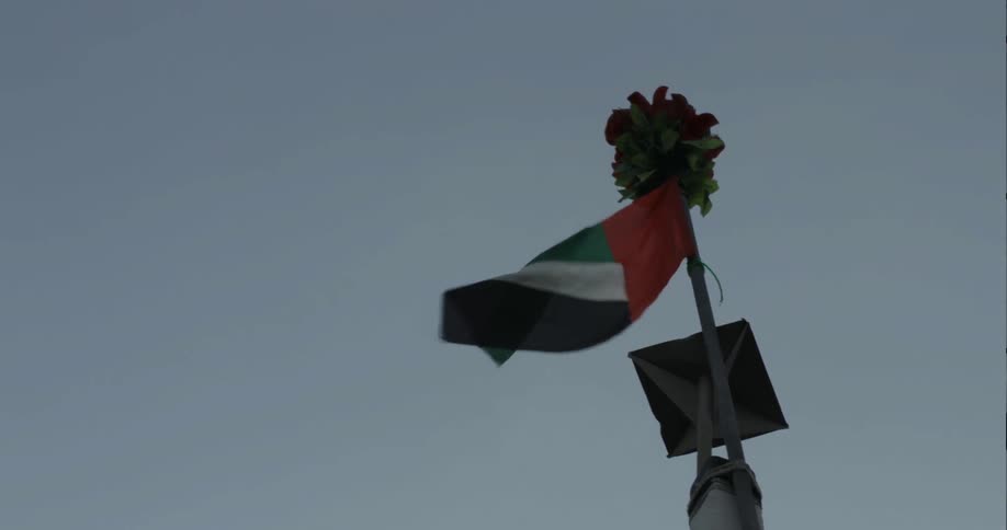 The flag is blowing in the wind
