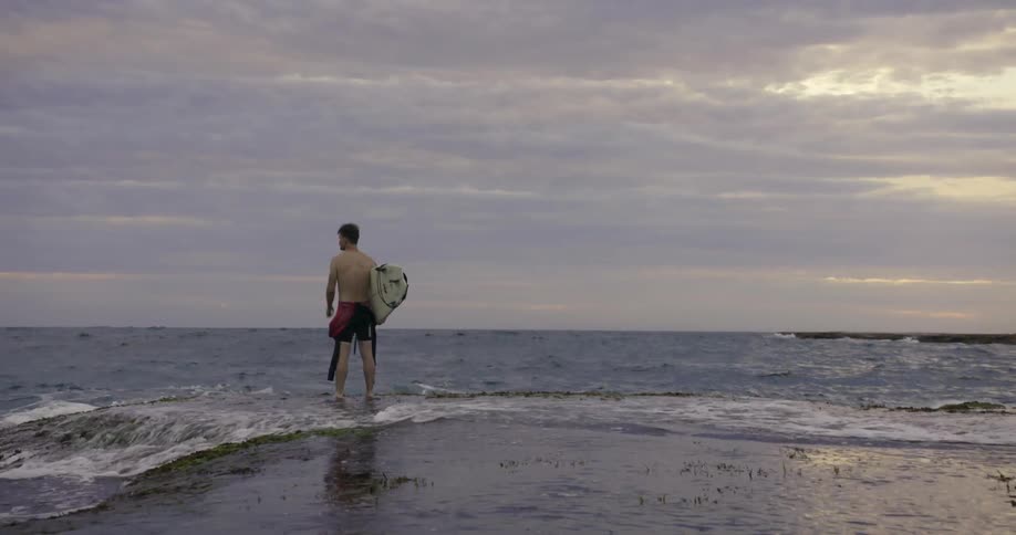 A man stands by the surf with his board