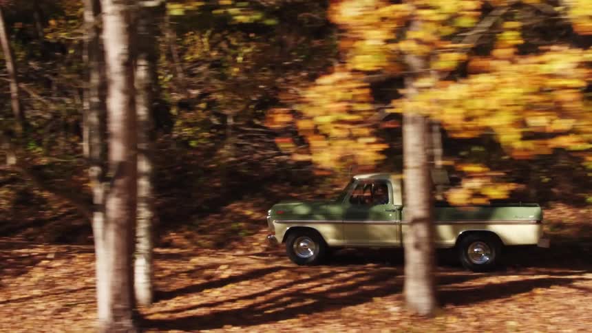 A pickup truck drives on a small road