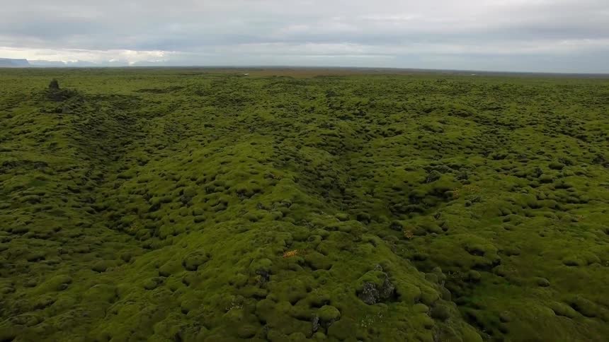 The hilly area is covered with green