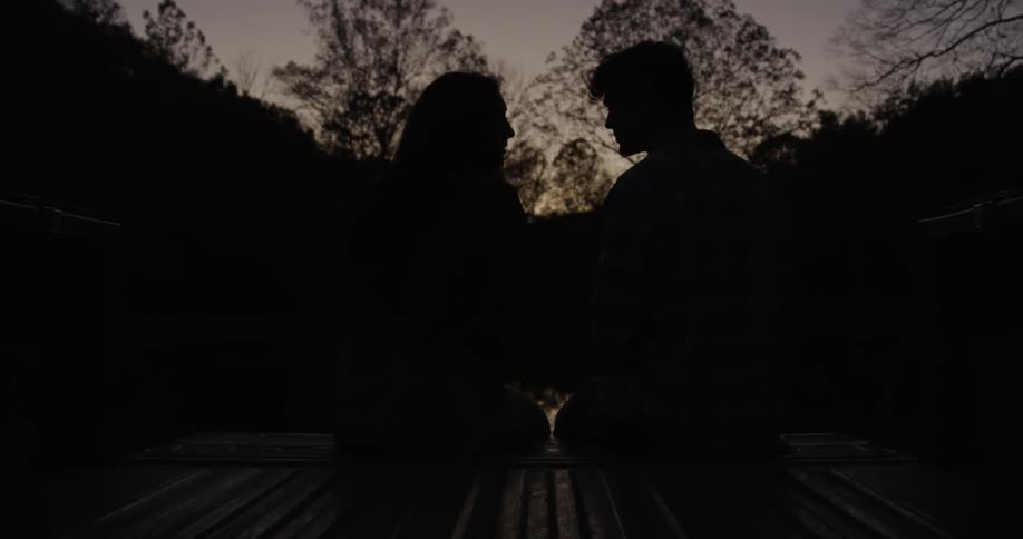 Silhouette of a man and woman kissing in the woods at night