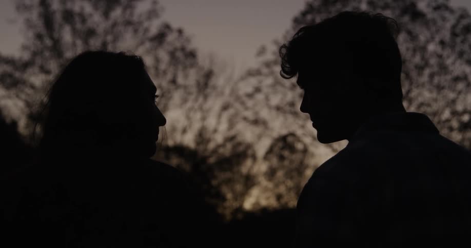 Silhouette of a man and woman kissing in the woods at night