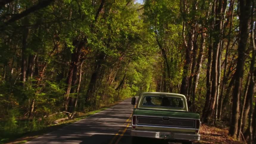People driving a truck down a tree lined road