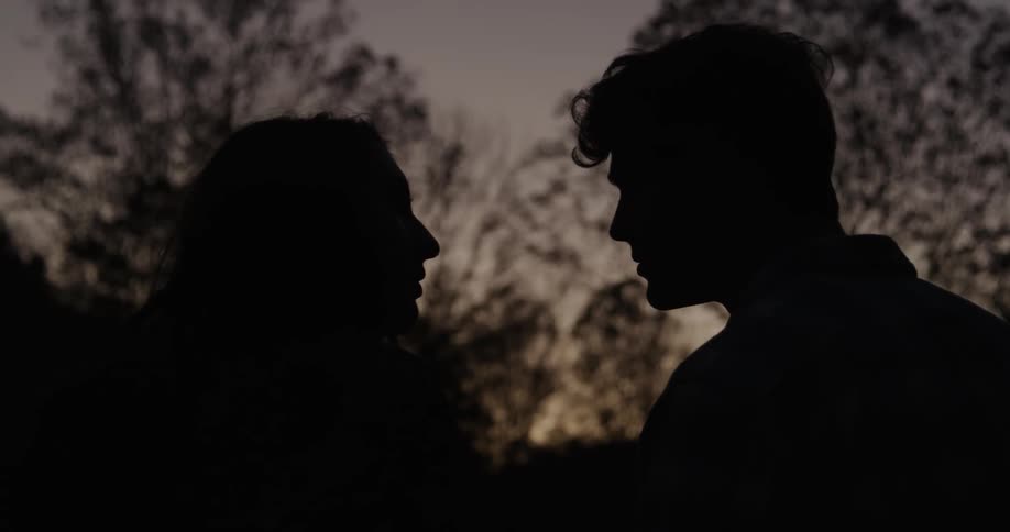 Silhouette of a man and woman kissing in the woods at night