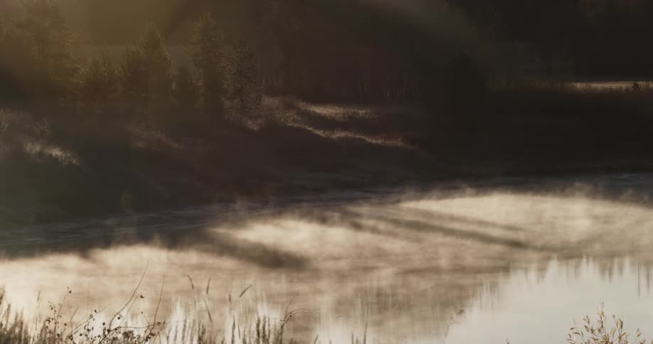 Mist floats over the ground on a sunny day