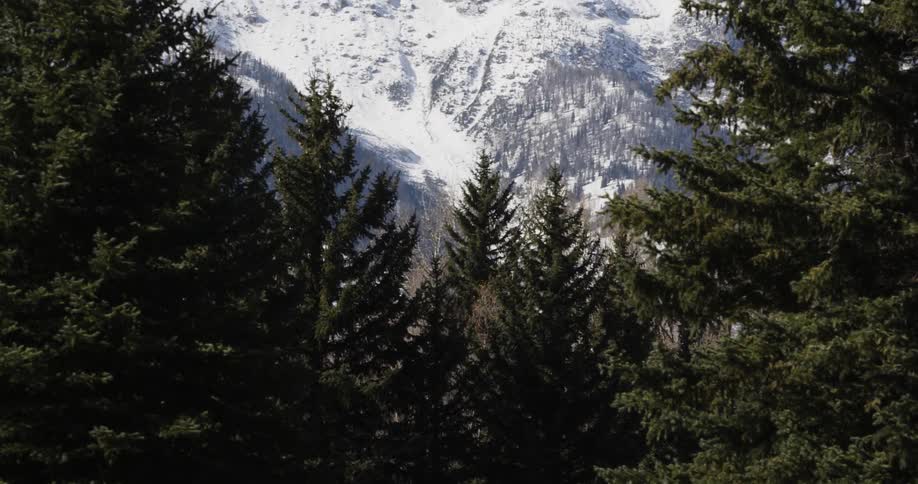 A snow-covered mountain peak is reflected in a lake