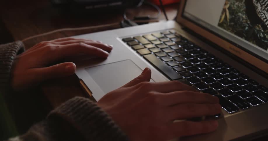 A person looks through pictures on a laptop