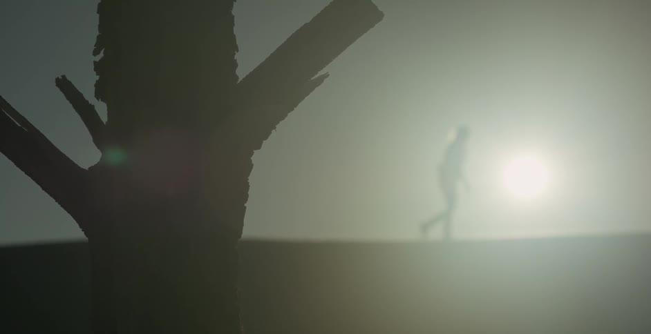 Person walks on sunny plains