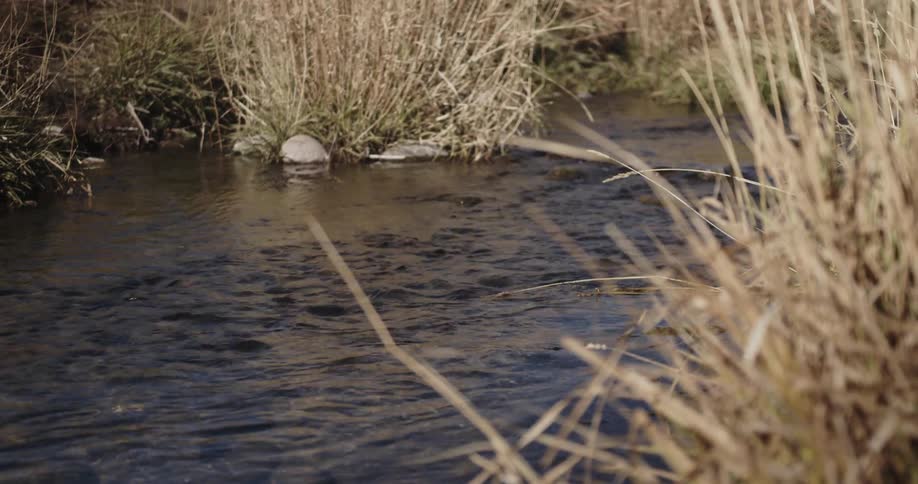 The water in this creek is rough