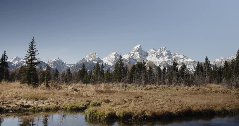 A river in front of a forest with a jagged mountain range in the background