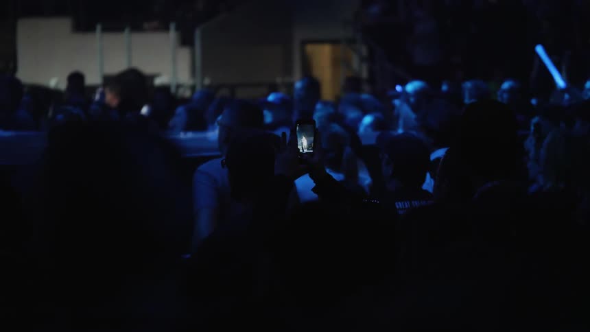 An audience is shown at a concert