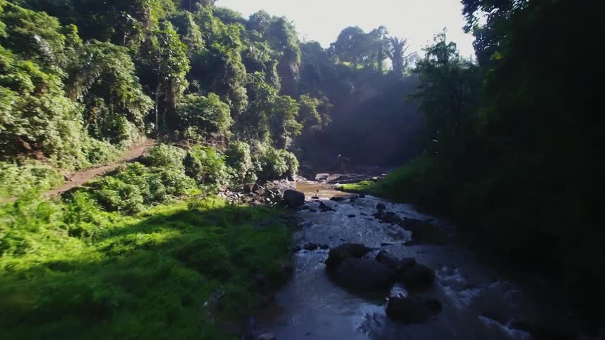 A moving view of moving down a river through some trees