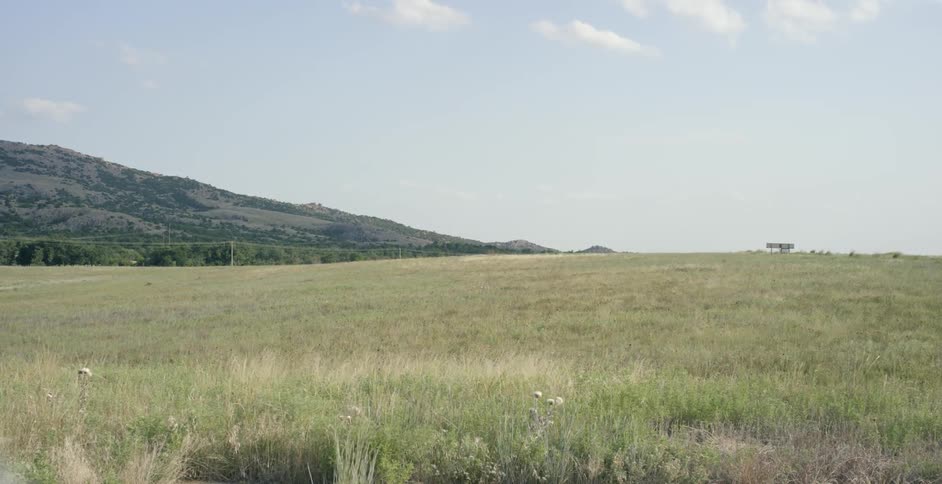 The field is long with yellow and green grass
