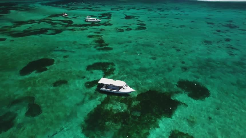 Boats are spaced out in the green water