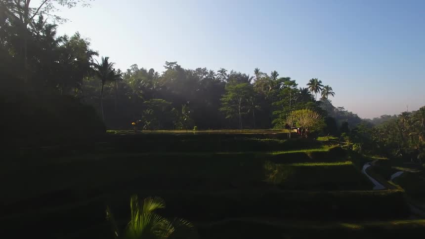 A green hill topped with a small pond