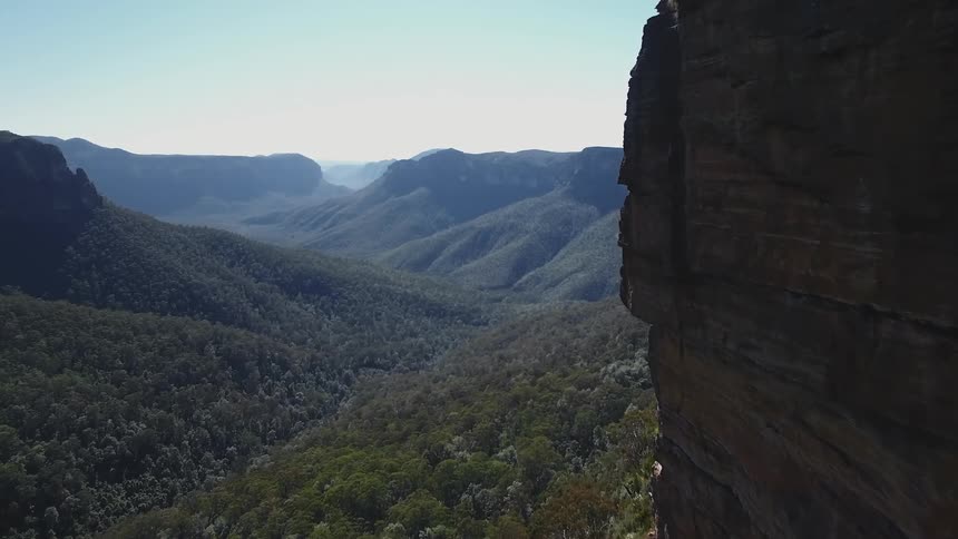 A view of the large side of a mountain and the top of trees in a forest