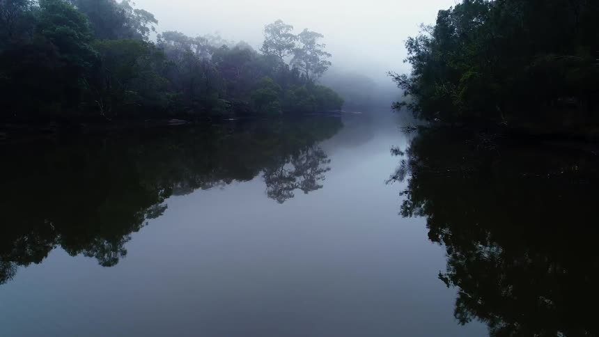 A still river surrounded by trees on a foggy day