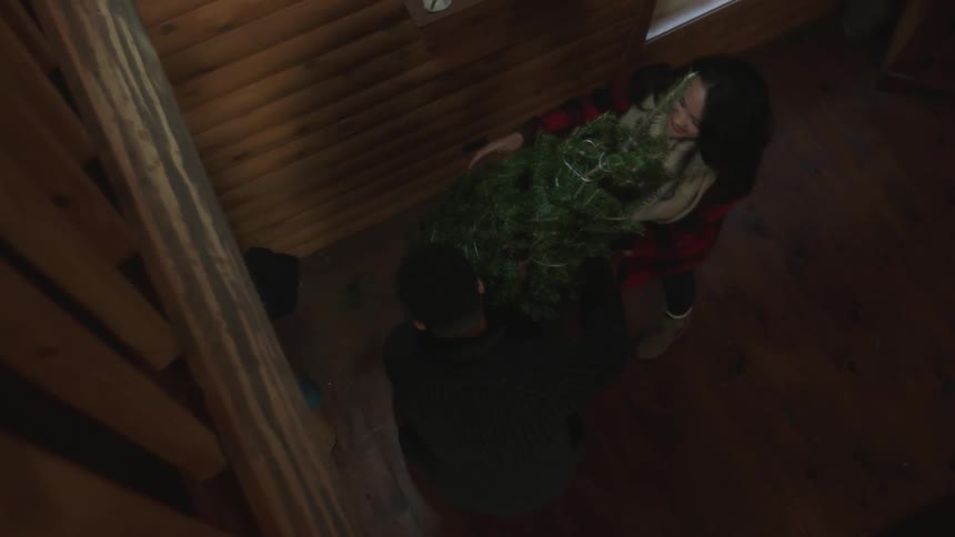 A man and a woman bringing a christmas tree into the house