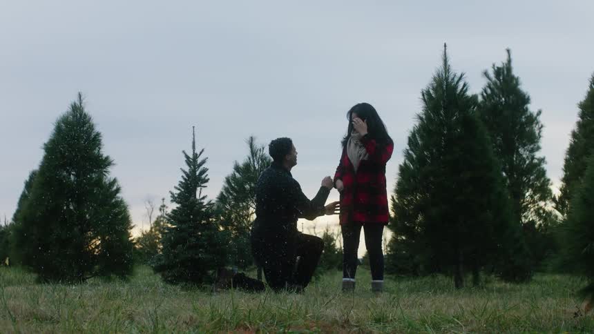 A man kneels down before a woman in a tree farm