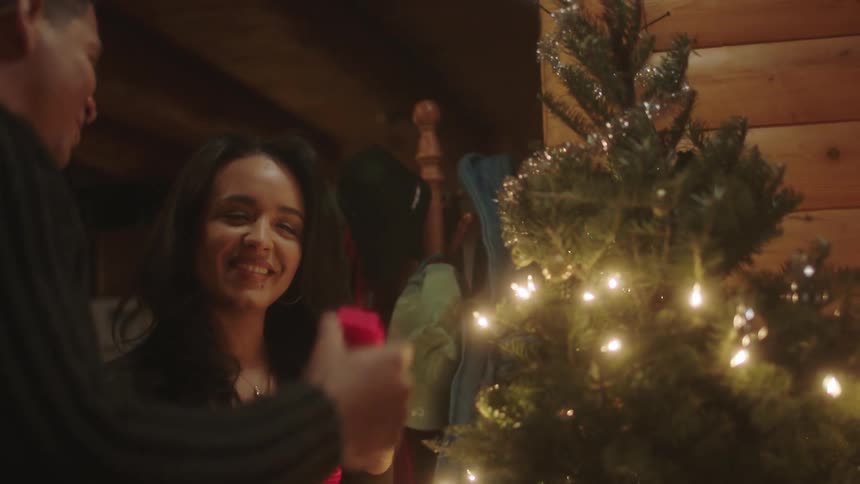 A man and woman talk and look at ornaments for their tree