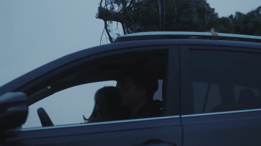 A tree is tied to the top of this car