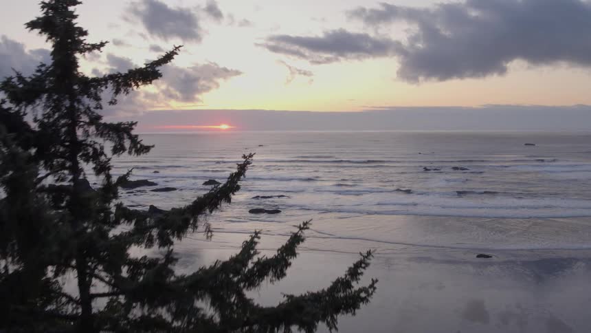 Flying past coastal forest trees to reveal a beautiful sunset as ocean waves wash ashore
