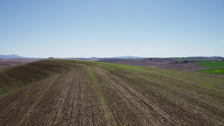 Flying low over new seedlings emerging from vast and beautiful rolling farmland hills