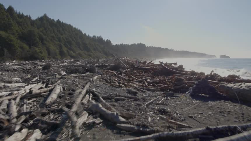 Skimming low over a natural driftwood beach toward waves crashing ashore