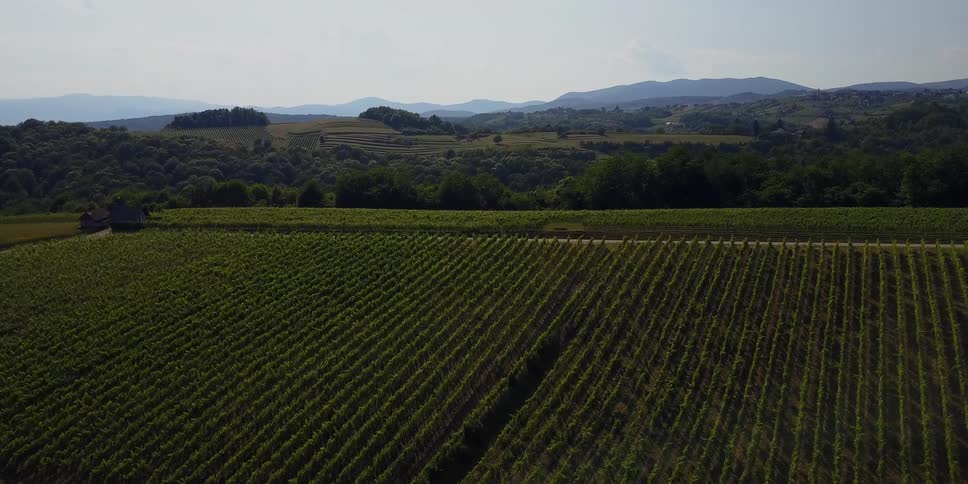 The green valleys are covered with crop fields