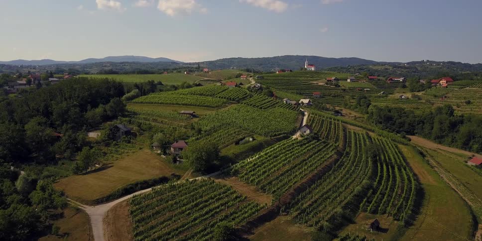 The green hills are covered with crops with forests all around