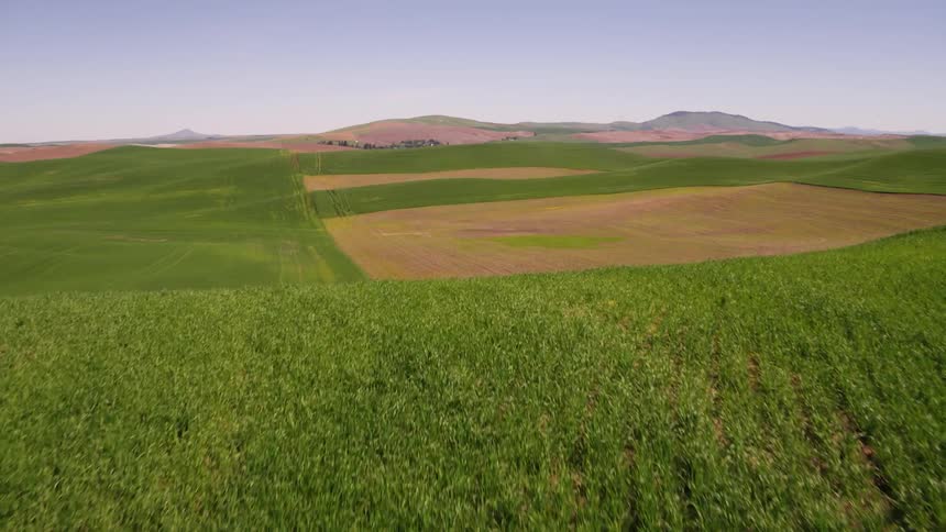 Ascent reveal of endless rolling farm fields on a sunny day