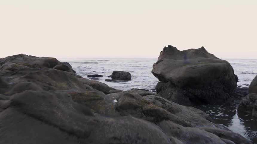 Skimming low over a rocky seashore beach and out over the water