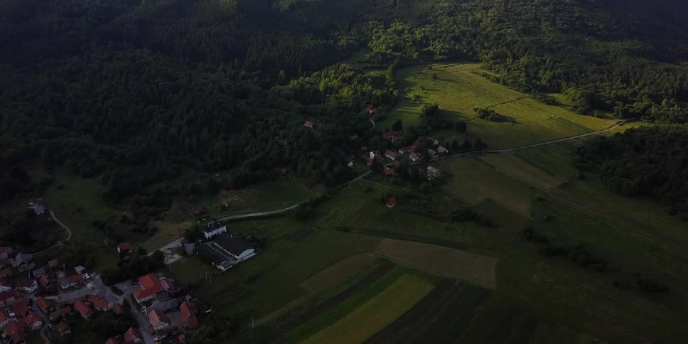 Aerial view of a small village in the forest