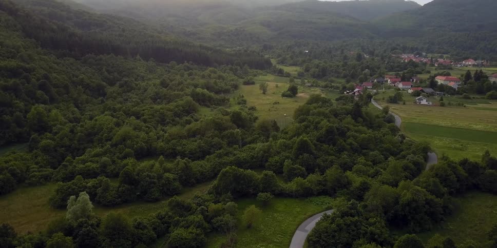 Aerial view of tree covered hills and plains