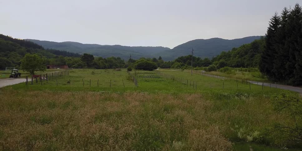 A zooming out view of a field with weeds and trees