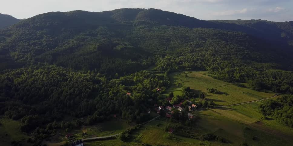 A small community sits on a tree-covered hillside
