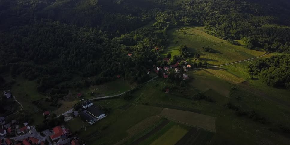 A small town is on a green pasture by the woods