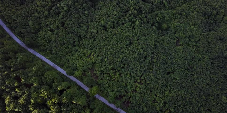 Aerial view of a road surrounded by trees