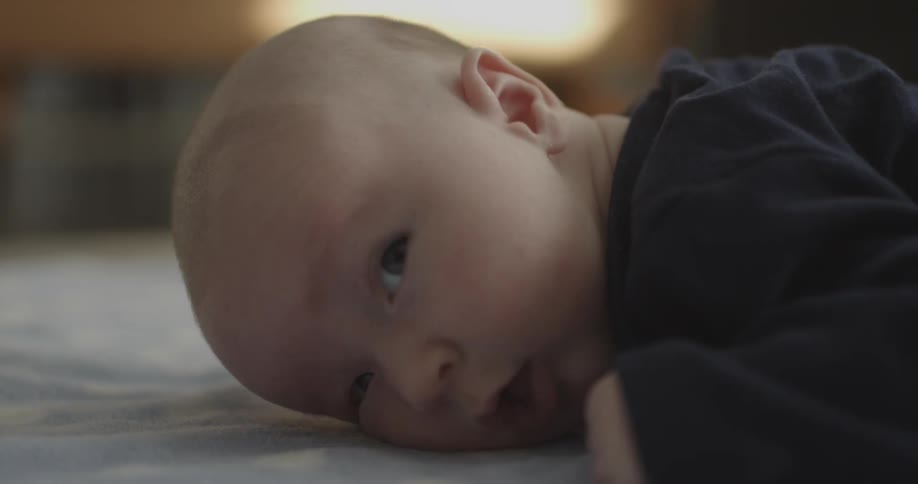 Baby lays on its stomach trying to lift its head