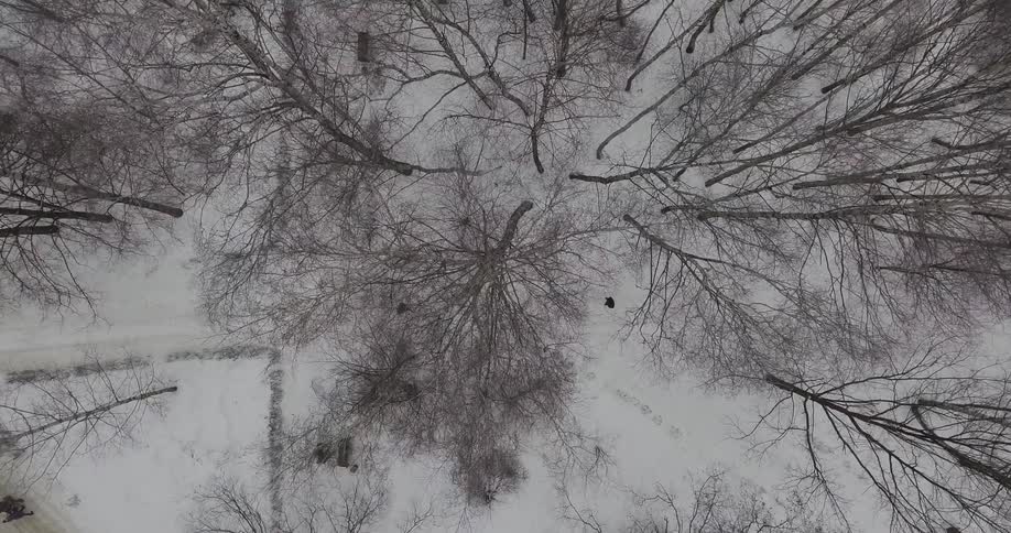 People walk in a snowy and wooded area