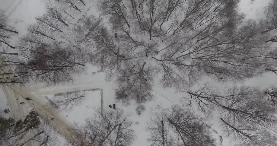 People walk in a snowy and wooded area
