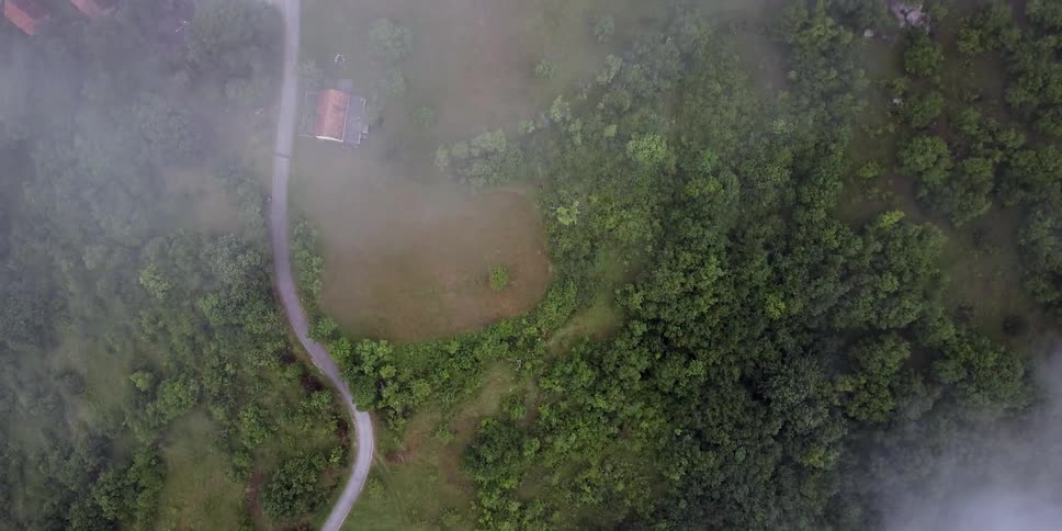Aerial view of a road and a house surrounded by trees
