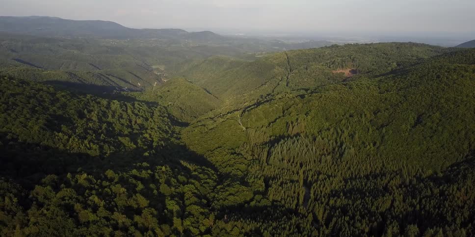 The valley of mountains are all covered with green