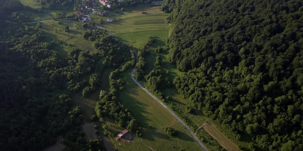 A small community is surrounded by trees on a sunny day